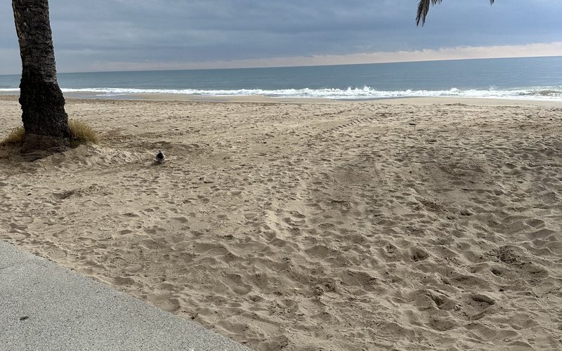 Family life in Cadiz, Spain